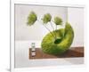 See-Sawing Sea Weed-Karsten Kirchner-Framed Premium Giclee Print