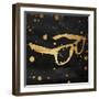 See The Gold Paint-Enrique Rodriguez Jr.-Framed Art Print