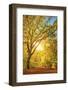 See the New-Philippe Sainte-Laudy-Framed Photographic Print