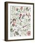 See the Summer I-Aimee Wilson-Framed Art Print