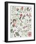 See the Summer I-Aimee Wilson-Framed Art Print