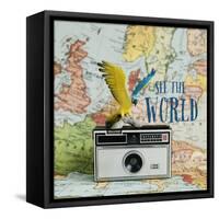 See The World-Susannah Tucker-Framed Stretched Canvas