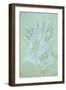 See Through Lace-Den Reader-Framed Photographic Print