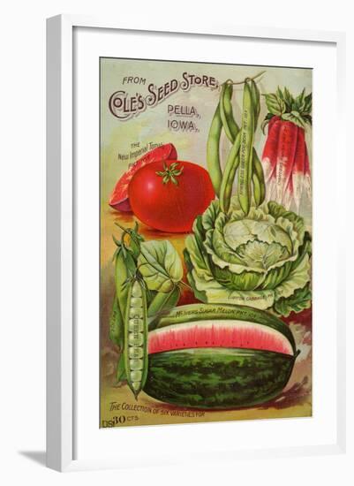 Seed Catalog Captions (2012): Cole’s Seed Store, Pella, Iowa, Garden, Farm and Flower Seeds, 1896-null-Framed Art Print