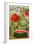 Seed Catalog Captions (2012): Cole’s Seed Store, Pella, Iowa, Garden, Farm and Flower Seeds, 1896-null-Framed Art Print