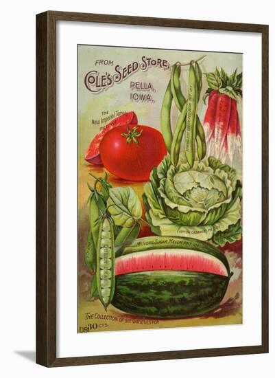 Seed Catalog Captions (2012): Cole’s Seed Store, Pella, Iowa, Garden, Farm and Flower Seeds, 1896-null-Framed Art Print