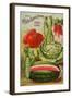 Seed Catalog Captions (2012): Cole’s Seed Store, Pella, Iowa, Garden, Farm and Flower Seeds, 1896-null-Framed Art Print