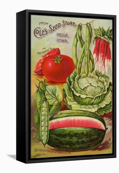 Seed Catalog Captions (2012): Cole’s Seed Store, Pella, Iowa, Garden, Farm and Flower Seeds, 1896-null-Framed Stretched Canvas