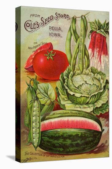 Seed Catalog Captions (2012): Cole’s Seed Store, Pella, Iowa, Garden, Farm and Flower Seeds, 1896-null-Stretched Canvas