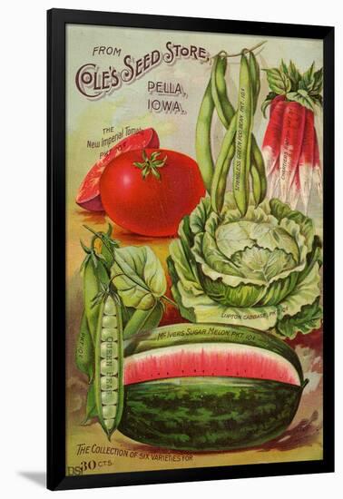 Seed Catalog Captions (2012): Cole’s Seed Store, Pella, Iowa, Garden, Farm and Flower Seeds, 1896-null-Framed Art Print