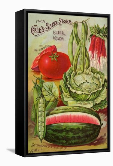 Seed Catalog Captions (2012): Cole’s Seed Store, Pella, Iowa, Garden, Farm and Flower Seeds, 1896-null-Framed Stretched Canvas