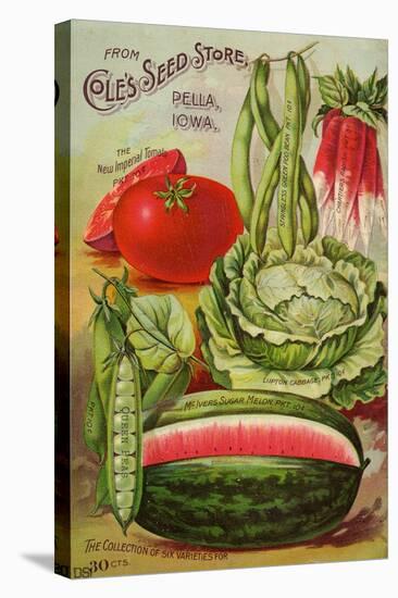 Seed Catalog Captions (2012): Cole’s Seed Store, Pella, Iowa, Garden, Farm and Flower Seeds, 1896-null-Stretched Canvas