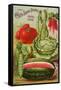 Seed Catalog Captions (2012): Cole’s Seed Store, Pella, Iowa, Garden, Farm and Flower Seeds, 1896-null-Framed Stretched Canvas