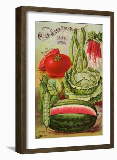 Seed Catalog Captions (2012): Cole’s Seed Store, Pella, Iowa, Garden, Farm and Flower Seeds, 1896-null-Framed Art Print