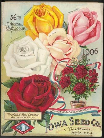 https://imgc.allpostersimages.com/img/posters/seed-catalog-captions-2012-iowa-seed-co-des-moines-iowa-36th-annual-catalogue-1906_u-L-Q1I0ZMK0.jpg?artPerspective=n