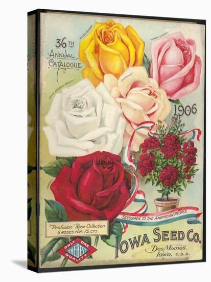 Seed Catalog Captions (2012): Iowa Seed Co. Des Moines, Iowa. 36th Annual Catalogue, 1906-null-Stretched Canvas