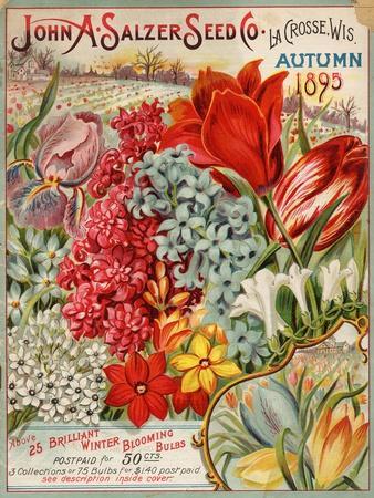 Vintage Botanical & Illustration Posters & Wall Art Prints