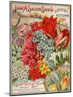 Seed Catalog Captions (2012): John A. Salzer Seed Co. La Crosse, Wisconsin, Autumn 1895-null-Mounted Art Print