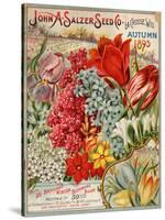 Seed Catalog Captions (2012): John A. Salzer Seed Co. La Crosse, Wisconsin, Autumn 1895-null-Stretched Canvas