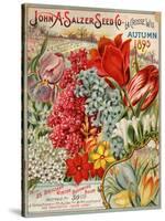 Seed Catalog Captions (2012): John A. Salzer Seed Co. La Crosse, Wisconsin, Autumn 1895-null-Stretched Canvas