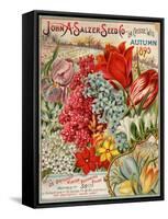 Seed Catalog Captions (2012): John A. Salzer Seed Co. La Crosse, Wisconsin, Autumn 1895-null-Framed Stretched Canvas