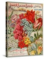 Seed Catalog Captions (2012): John A. Salzer Seed Co. La Crosse, Wisconsin, Autumn 1895-null-Stretched Canvas