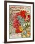 Seed Catalog Captions (2012): John A. Salzer Seed Co. La Crosse, Wisconsin, Autumn 1895-null-Framed Art Print