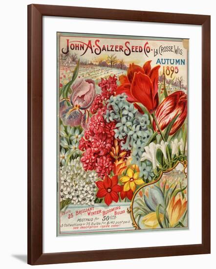 Seed Catalog Captions (2012): John A. Salzer Seed Co. La Crosse, Wisconsin, Autumn 1895-null-Framed Art Print