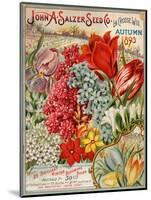 Seed Catalog Captions (2012): John A. Salzer Seed Co. La Crosse, Wisconsin, Autumn 1895-null-Mounted Art Print