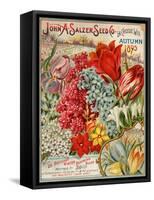 Seed Catalog Captions (2012): John A. Salzer Seed Co. La Crosse, Wisconsin, Autumn 1895-null-Framed Stretched Canvas