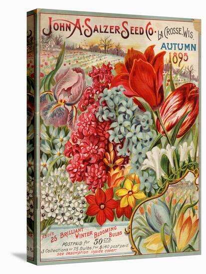 Seed Catalog Captions (2012): John A. Salzer Seed Co. La Crosse, Wisconsin, Autumn 1895-null-Stretched Canvas