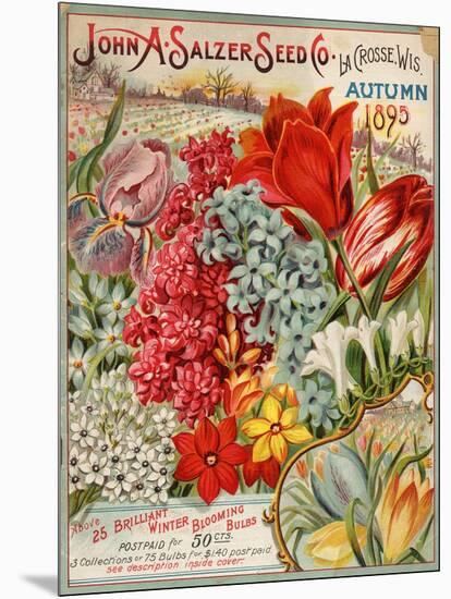 Seed Catalog Captions (2012): John A. Salzer Seed Co. La Crosse, Wisconsin, Autumn 1895-null-Mounted Art Print