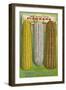 Seed Catalog Captions (2012): Oscar H. Will and Co, Bismarck, North Dakota, 1917-null-Framed Art Print