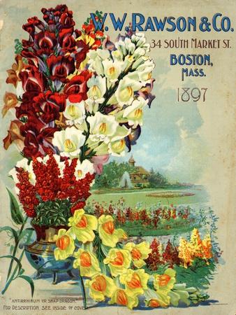 https://imgc.allpostersimages.com/img/posters/seed-catalog-captions-2012-w-w-rawson-and-co-boston-massachusetts-1897_u-L-Q1I0YTT0.jpg?artPerspective=n