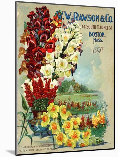 Seed Catalog Captions (2012): W.W. Rawson and Co, Boston, Massachusetts, 1897-null-Mounted Art Print