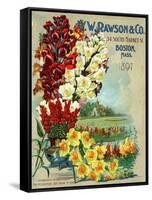 Seed Catalog Captions (2012): W.W. Rawson and Co, Boston, Massachusetts, 1897-null-Framed Stretched Canvas