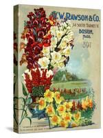 Seed Catalog Captions (2012): W.W. Rawson and Co, Boston, Massachusetts, 1897-null-Stretched Canvas