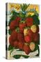 Seed Catalog Illustration with Strawberries-null-Stretched Canvas