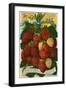 Seed Catalog Illustration with Strawberries-null-Framed Giclee Print