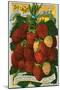 Seed Catalog Illustration with Strawberries-null-Mounted Giclee Print