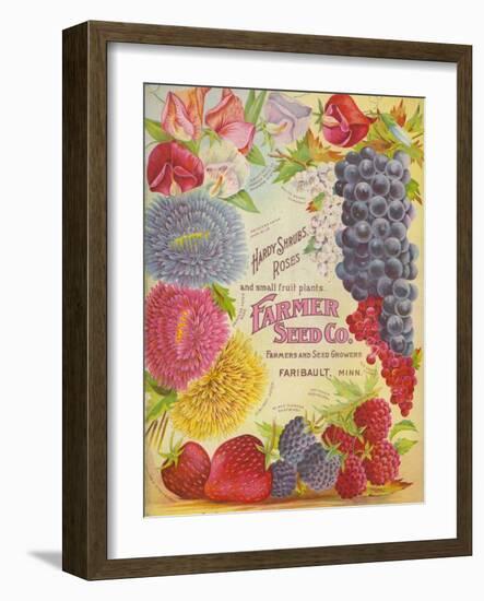Seed Catalogues: Farmer Seed Co. Farm and Garden Seeds, Spring 1906-null-Framed Art Print