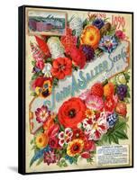 Seed Catalogues: John A. Salzer Seed Co. La Crosse, Wisconsin, Spring 1898-null-Framed Stretched Canvas