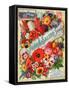 Seed Catalogues: John A. Salzer Seed Co. La Crosse, Wisconsin, Spring 1898-null-Framed Stretched Canvas