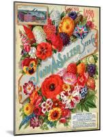 Seed Catalogues: John A. Salzer Seed Co. La Crosse, Wisconsin, Spring 1898-null-Mounted Art Print