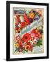 Seed Catalogues: John A. Salzer Seed Co. La Crosse, Wisconsin, Spring 1898-null-Framed Art Print