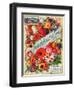 Seed Catalogues: John A. Salzer Seed Co. La Crosse, Wisconsin, Spring 1898-null-Framed Art Print