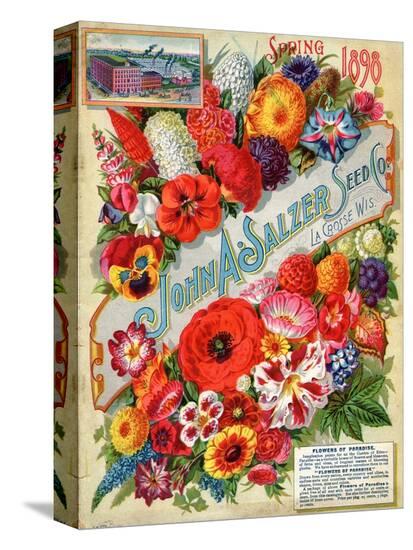 Stretched Canvas Print, , large