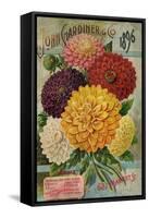 Seed Catalogues: John Gardiner and Co, Philadelphia, Pennsylvania. Seed Annual, 1896-null-Framed Stretched Canvas