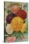 Seed Catalogues: John Gardiner and Co, Philadelphia, Pennsylvania. Seed Annual, 1896-null-Stretched Canvas