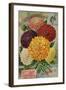 Seed Catalogues: John Gardiner and Co, Philadelphia, Pennsylvania. Seed Annual, 1896-null-Framed Art Print